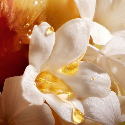 KRAIVE Solid Perfume Balm - hfp Modern Rose